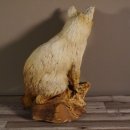 Fuchs sitzend Rotfuchs Präparat Länge 42 cm taxidermy Deko #89.8.136