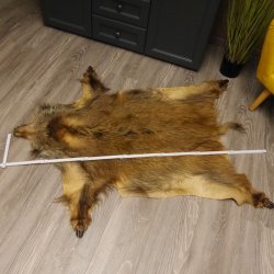 Wildschwein Fell Schwarte Sauschwarte Vorleger, Länge 127cm