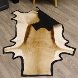 Sehr großes Springbock Afrika Fell Vorleger Tierfell Länge 136cm