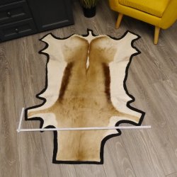 Sehr großes Springbock Afrika Fell Vorleger Tierfell Länge 136cm