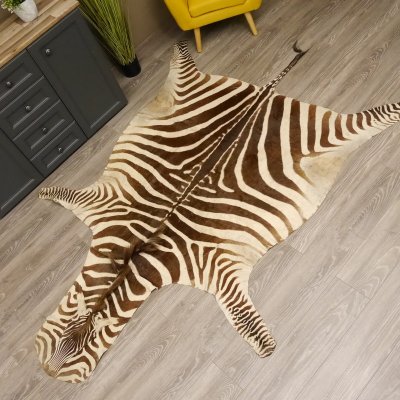 Zebra Fell Vorleger Steppenzebra Zebrafell Afrika Gesamtlänge 263cm