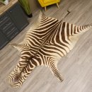 Zebra Fell Vorleger Steppenzebra Zebrafell Afrika Gesamtlänge 263cm