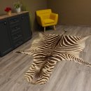 Zebra Fell Vorleger Steppenzebra Zebrafell Afrika Gesamtlänge 263cm