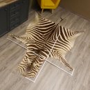 Zebra Fell Vorleger Steppenzebra Zebrafell Afrika Gesamtlänge 263cm