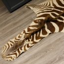 Zebra Fell Vorleger Steppenzebra Zebrafell Afrika Gesamtlänge 263cm