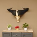 Kaffernbüffel Schädeltrophäe Breite 93 cm Büffel Afrika Schädel Trophäe #88.10.17