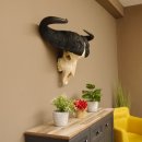 Kaffernbüffel Schädeltrophäe Breite 93 cm Büffel Afrika Schädel Trophäe #88.10.17