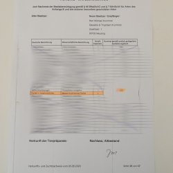 Erdbeerköpfchen Vogel Tierpräparat Unzertrennliche mit Genehmigung zum Verkauf