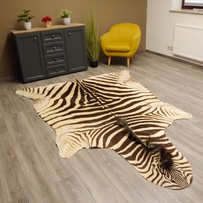 Zebra Fell Vorleger Steppenzebra Länge 286 cm