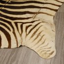 Zebra Fell Vorleger Steppenzebra Länge 286 cm