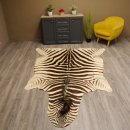 Zebra Fell Vorleger Steppenzebra Länge 286 cm