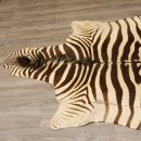 Zebra Fell Vorleger Steppenzebra L&auml;nge 286 cm