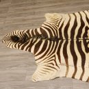 Zebra Fell Vorleger Steppenzebra Länge 286 cm