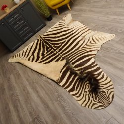 Zebra Fell Vorleger Steppenzebra Länge 286 cm