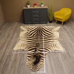 Zebra Fell Vorleger Steppenzebra Länge 286 cm