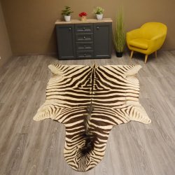 Zebra Fell Vorleger Steppenzebra Länge 286 cm