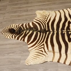 Zebra Fell Vorleger Steppenzebra Länge 286 cm