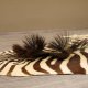 Zebra Fell Vorleger Steppenzebra Länge 286 cm