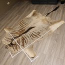 Streifengnu GNU - Fell Vorleger Afrika afrikanisch Deko Länge 265cm