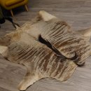 Streifengnu GNU - Fell Vorleger Afrika afrikanisch Deko Länge 265cm