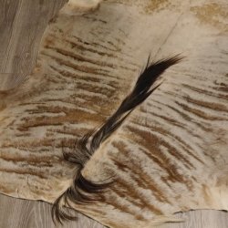 Streifengnu GNU - Fell Vorleger Afrika afrikanisch Deko Länge 265cm