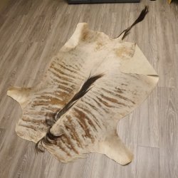 Streifengnu GNU - Fell Vorleger Afrika afrikanisch Deko Länge 265cm