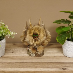 Kleines Wolpertinger Wolpi Präparat taxidermy mit grüne Augen, kleine Flügel und Reh Geweih Horn #86.2.84
