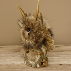 Kleines Wolpertinger Wolpi Präparat taxidermy mit dunkelblaue Augen, kleine Flügel und Reh Geweih Horn #86.2.86