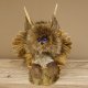 Kleines Wolpertinger Wolpi Präparat taxidermy mit dunkelblaue Augen, kleine Flügel und Reh Geweih Horn #86.2.89