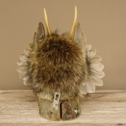 Kleines Wolpertinger Präparat taxidermy mit grüne Augen, kleine Flügel und Reh Geweih Horn #86.2.90