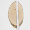 1 Stück Birke Schild Trophäenschild für Reh Baumscheibe Baumschild AF 19cm