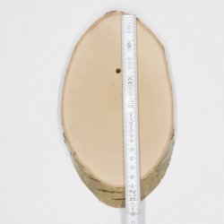 1 Stück Birke Schild Trophäenschild für Reh Baumscheibe Baumschild AF 19cm