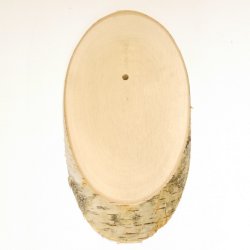 Escudo de abedul Escudo trofeo para corzo Disco para árbol Escudo para árbol AF 20 cm