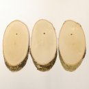 3 piezas de abedul, placa trofeo para ciervo, disco para árbol, placa para árbol AF 20 cm