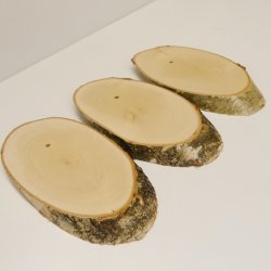 3 piezas de abedul, placa trofeo para ciervo, disco para árbol, placa para árbol AF 20 cm