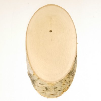 1 Stück Birke Schild Trophäenschild Reh Geweih Baumscheibe Baumschild AF 21 cm