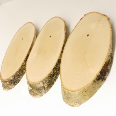 3 pieces of birch wood trophy shield with deer antlers and tree slice, AF 21 cm