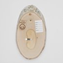 3 pieces of birch wood trophy shield with deer antlers and tree slice, AF 21 cm