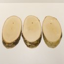 3 pieces of birch wood trophy shield with deer antlers and tree slice, AF 21 cm