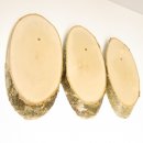 3 pieces of birch wood trophy shield with deer antlers and tree slice, AF 21 cm