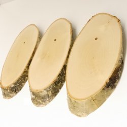 3 pieces of birch wood trophy shield with deer antlers and tree slice, AF 21 cm