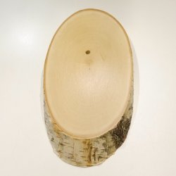 3 pieces of birch wood trophy shield with deer antlers and tree slice, AF 21 cm