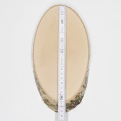 3 pieces of birch wood trophy shield with deer antlers and tree slice, AF 21 cm