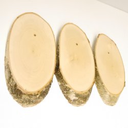 3 pieces of birch wood trophy shield with deer antlers and tree slice, AF 21 cm