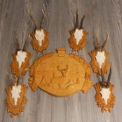 6 Stück Rehgeweihe auf geschnitztem Trophäenschild + 1 geschnitztes Schild Motiv Hirsch Rehbock Reh Bock Geweihe #22.1042