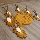 6 Stück Rehgeweihe auf geschnitztem Trophäenschild + 1 geschnitztes Schild Motiv Hirsch Rehbock Reh Bock Geweihe #22.1042