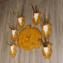 6 Stück Rehgeweihe auf geschnitztem Trophäenschild + 1 geschnitztes Schild Motiv Hirsch Rehbock Reh Bock Geweihe #22.1042