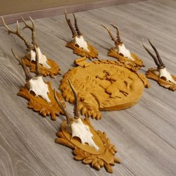 6 Stück Rehgeweihe auf geschnitztem Trophäenschild + 1 geschnitztes Schild Motiv Hirsch Rehbock Reh Bock Geweihe #22.1042