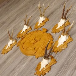 6 Stück Rehgeweihe auf geschnitztem Trophäenschild + 1 geschnitztes Schild Motiv Hirsch Rehbock Reh Bock Geweihe #22.1042