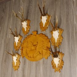 6 Stück Rehgeweihe auf geschnitztem Trophäenschild + 1 geschnitztes Schild Motiv Hirsch Rehbock Reh Bock Geweihe #22.1042